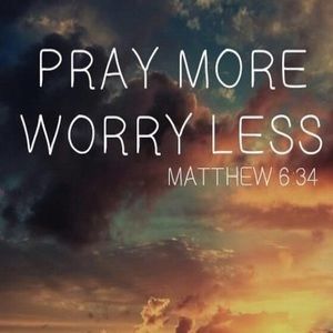 Meet your Posher, Terri